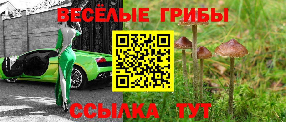 Псилоцибиновые грибы Magic Shrooms  Псилоцибиновые грибы мухоморы  Вход с VPN  Зеленокумск 